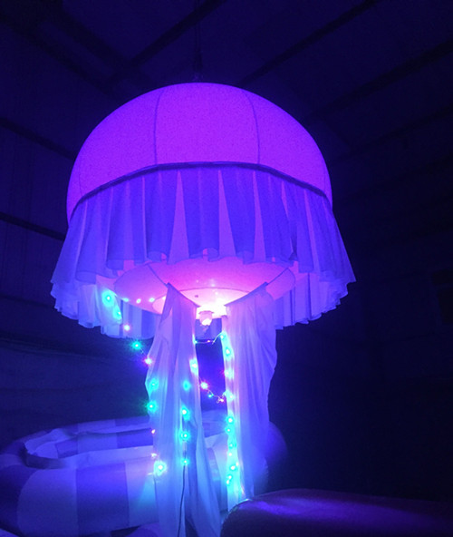 ˮĸ